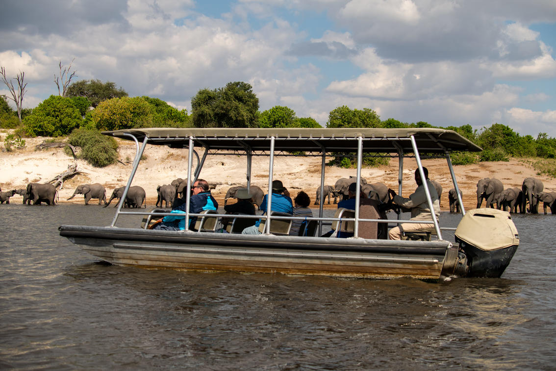 Zambezi Queen by Mantis thumbnail 5