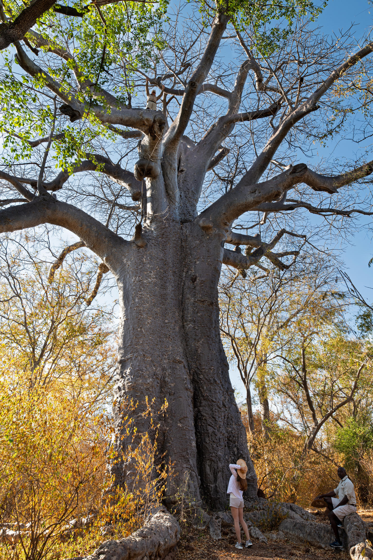 Ichingo Chobe River Lodge by Mantis thumbnail 14