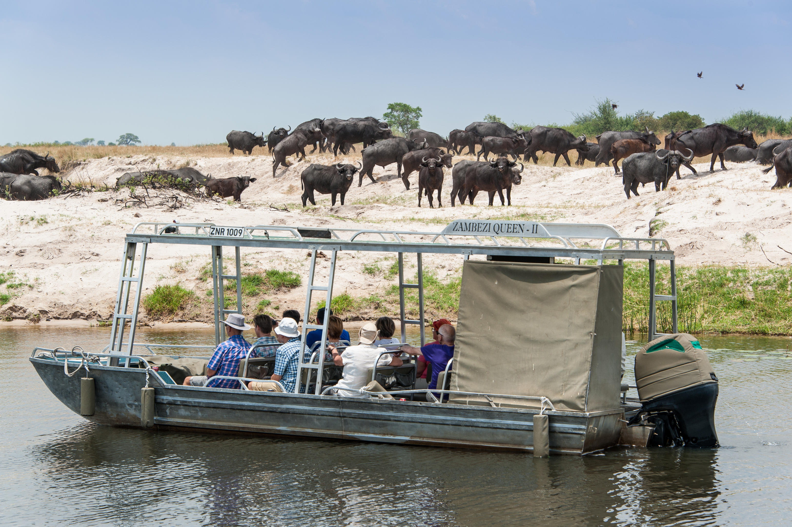 Ichingo Chobe River Lodge by Mantis thumbnail 10