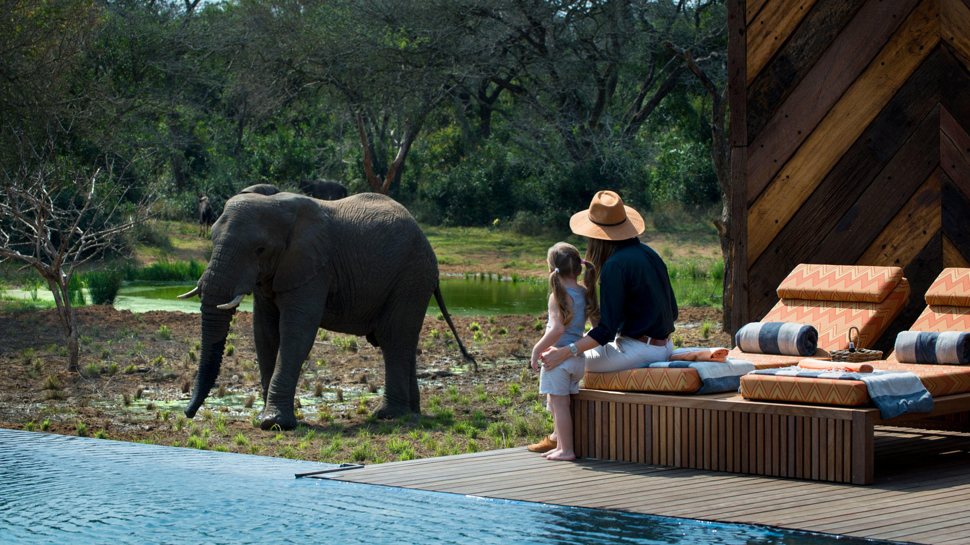 Phinda Homestead thumbnail 4