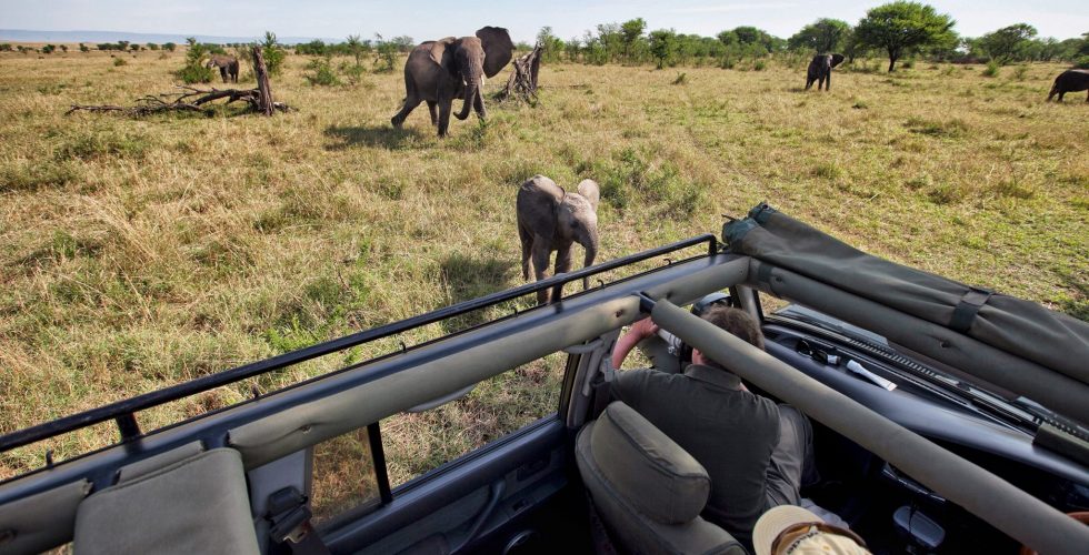 Serian's Serengeti Mobile Kusini thumbnail 7