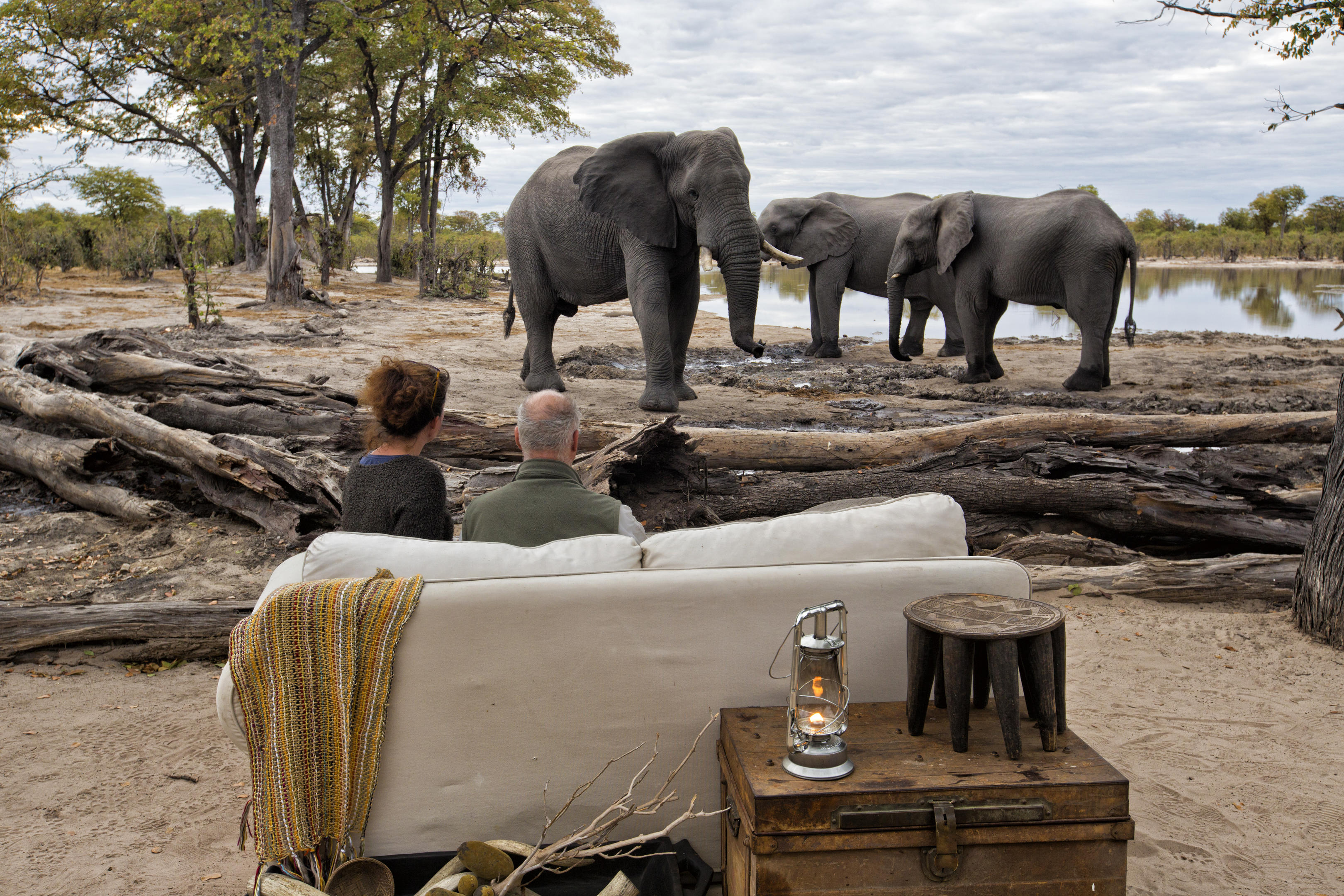 Elephant Pan thumbnail 10