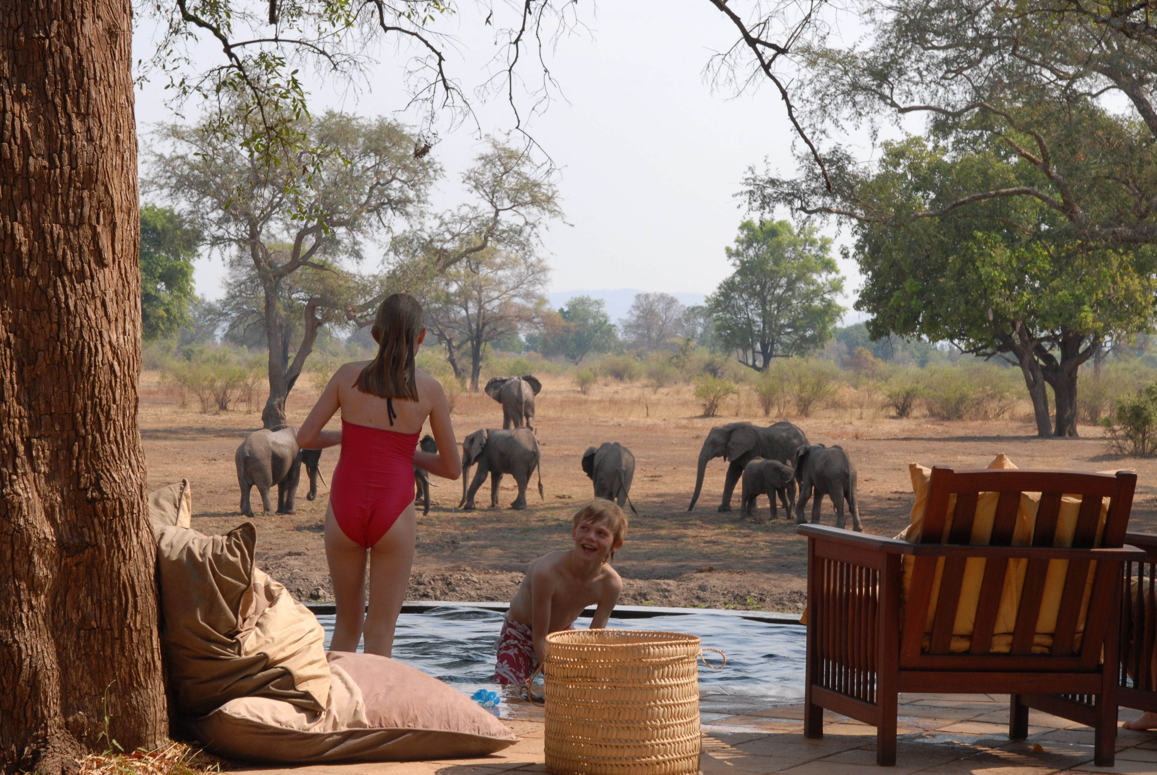 Luangwa Safari House thumbnail 6