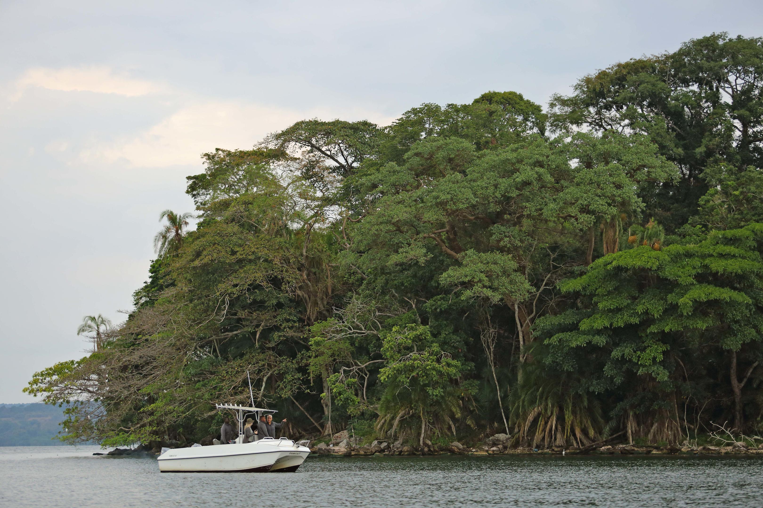 Rubondo Island Camp thumbnail 10