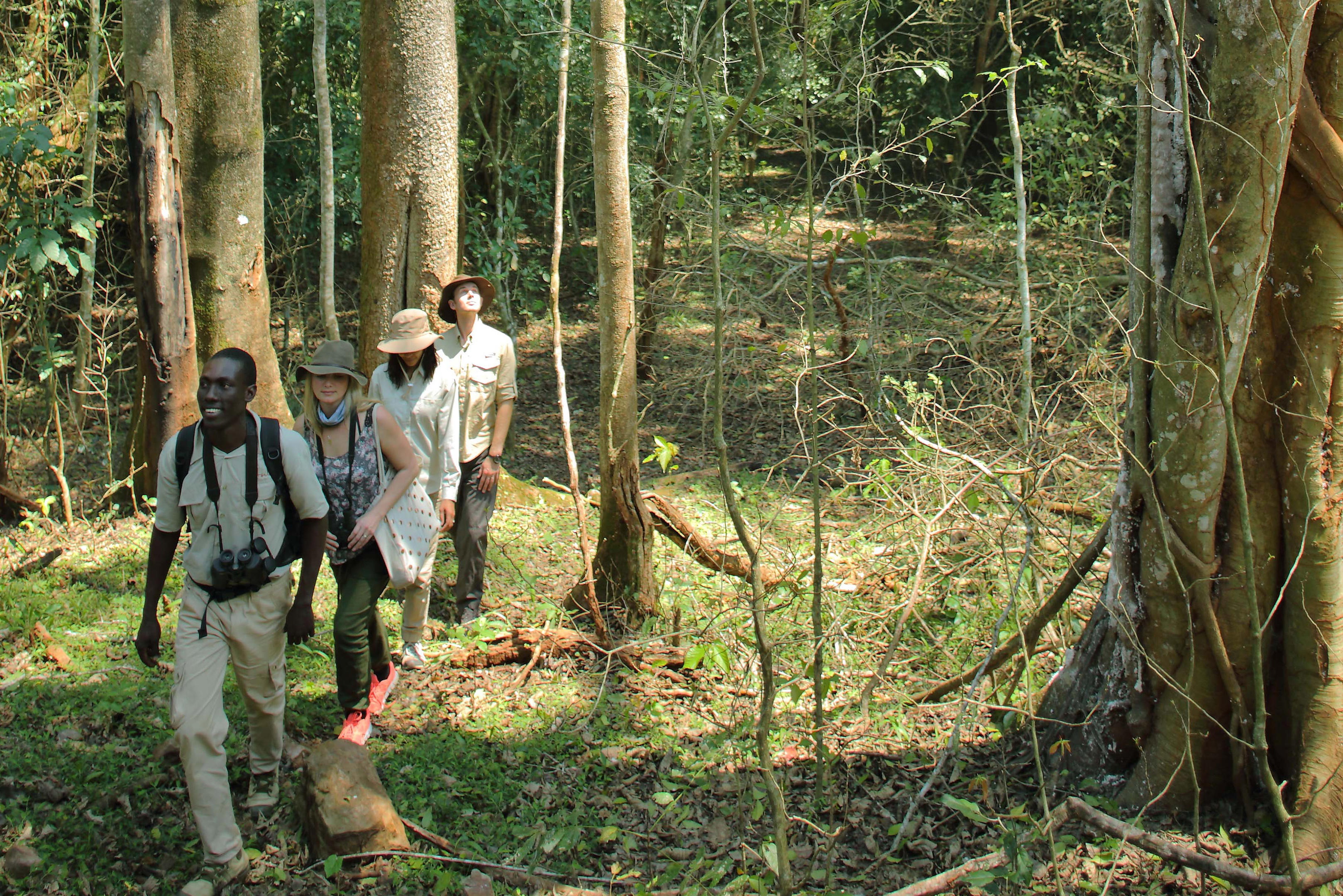 Rubondo Island Camp thumbnail 15