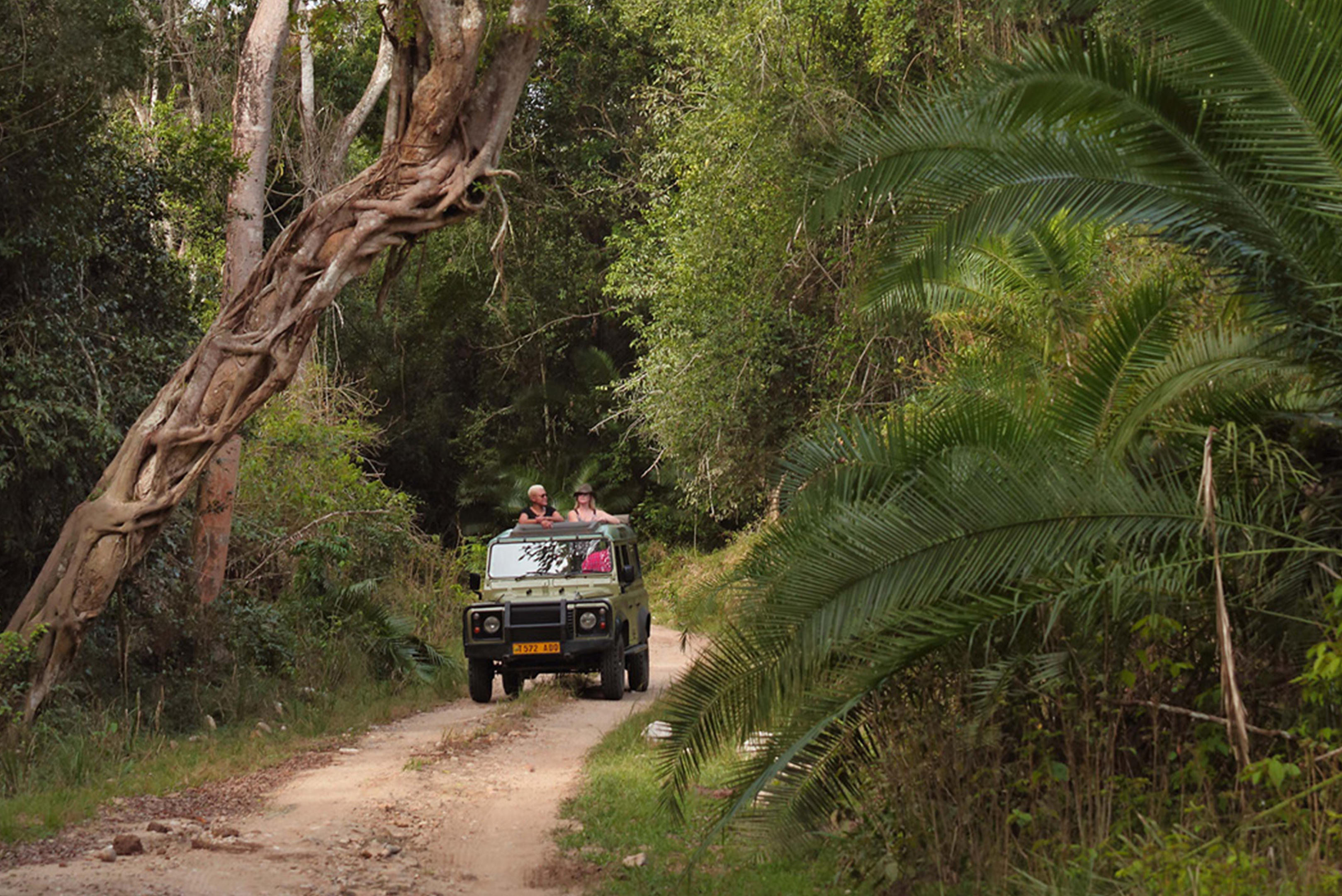 Rubondo Island Camp thumbnail 16
