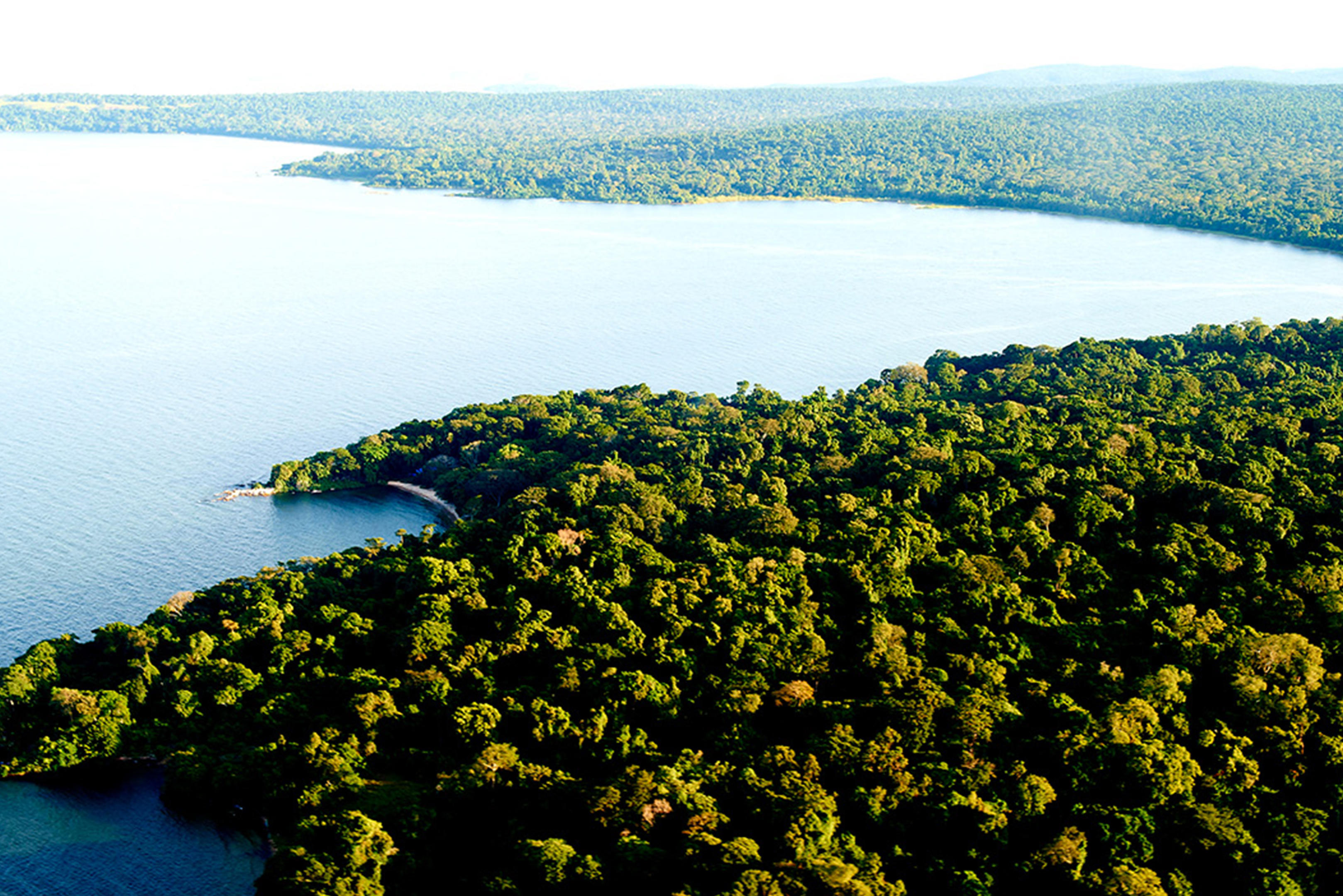 Rubondo Island Camp thumbnail 8
