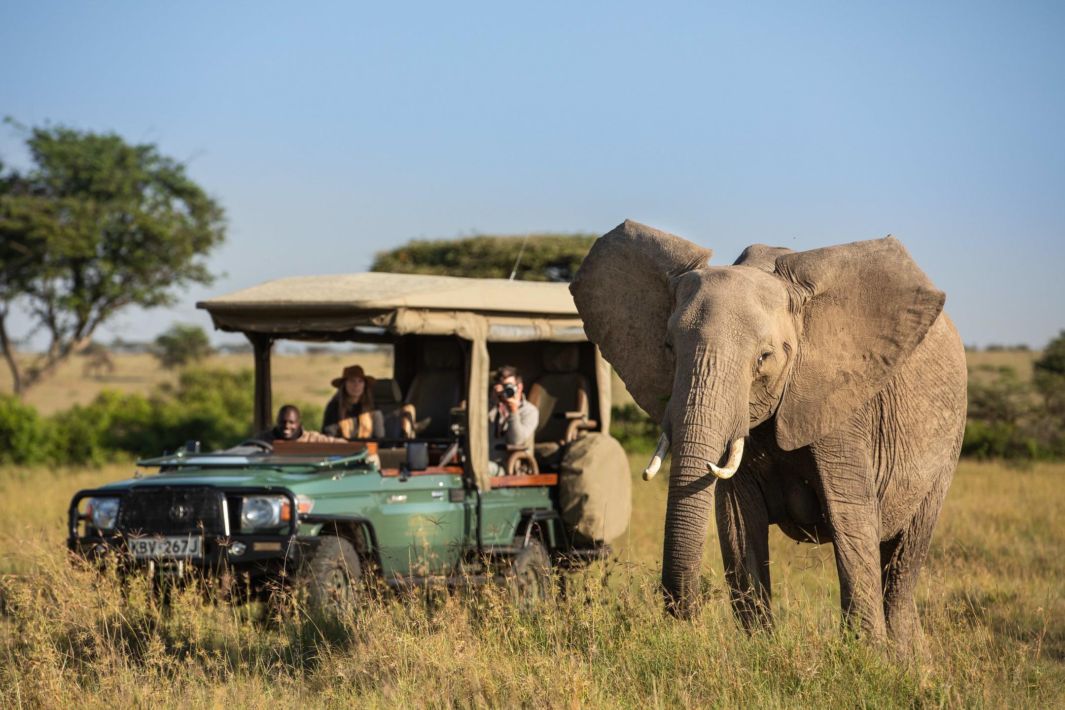 Mara Toto Tree Camp thumbnail 5