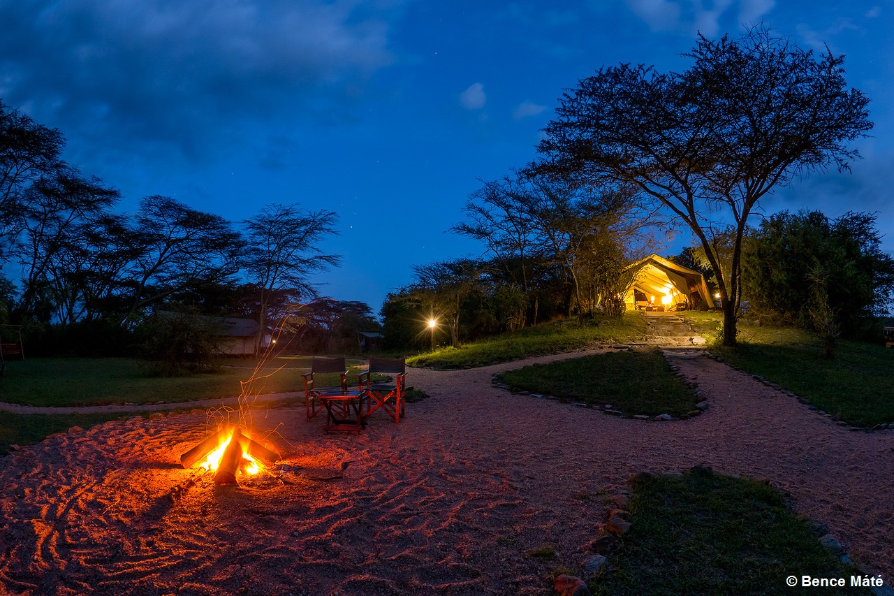 Porini Mara Camp thumbnail 2