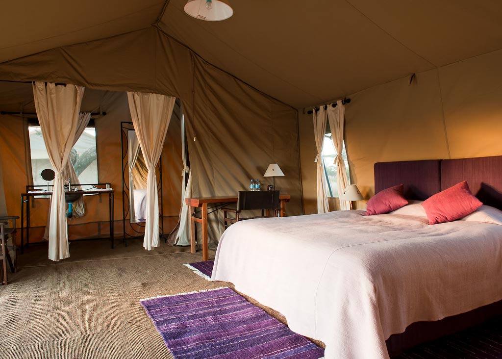 Ndutu Under Canvas thumbnail 2