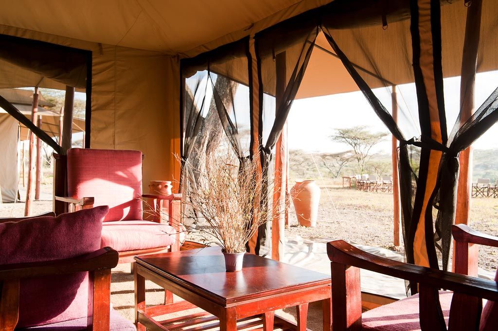 Ndutu Under Canvas thumbnail 4