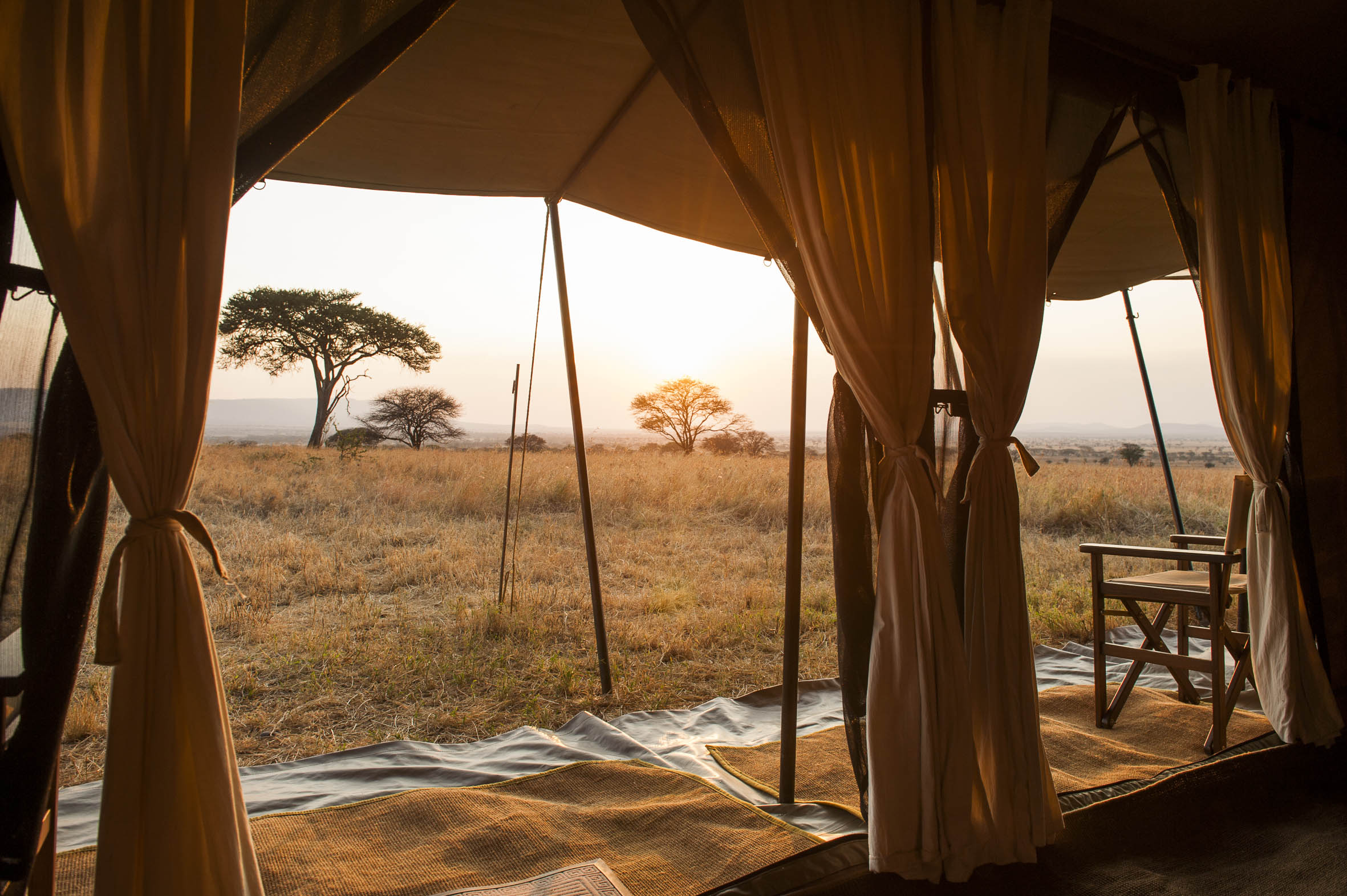 Ndutu Under Canvas thumbnail 6