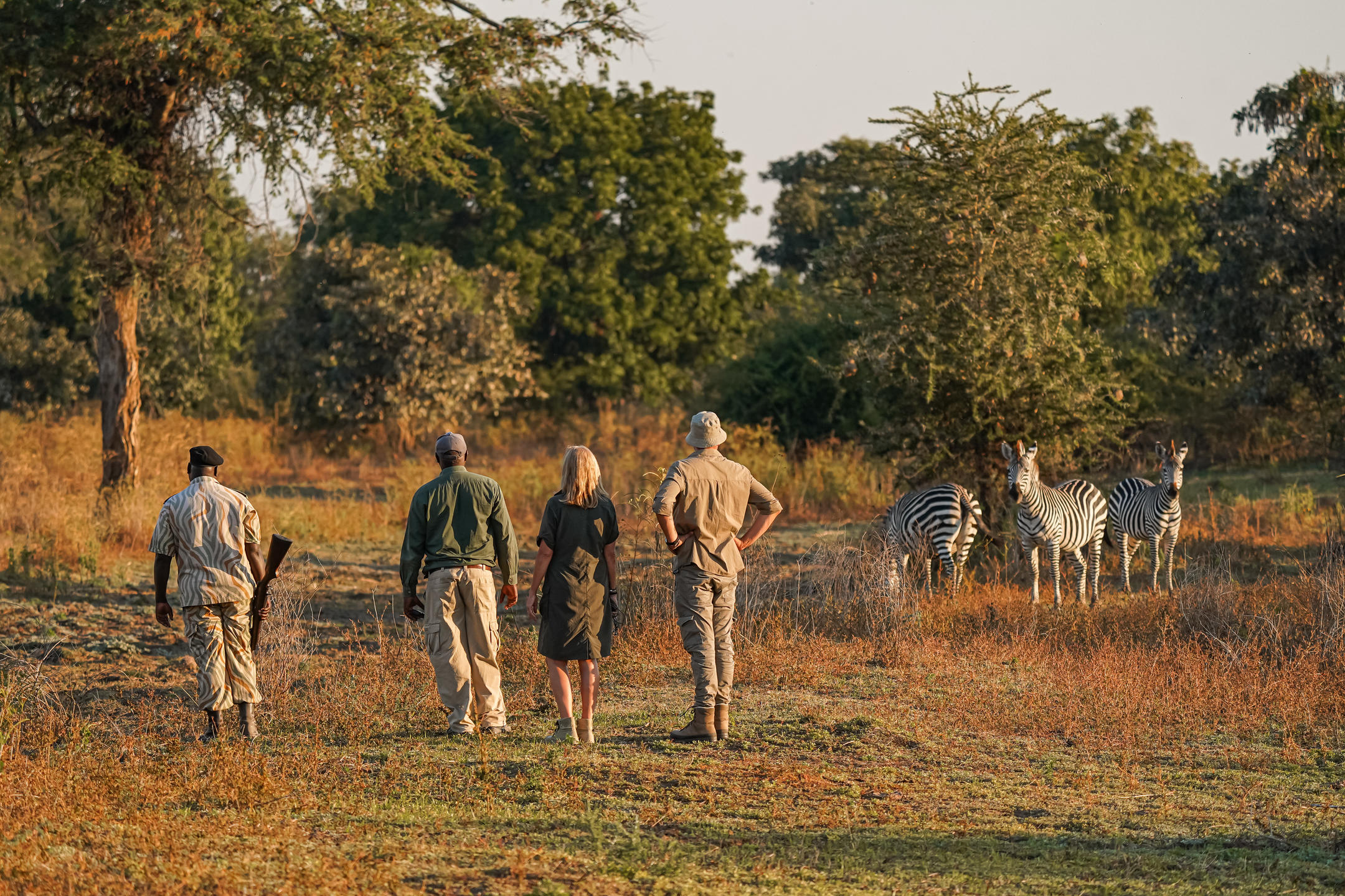 Chikunto Safari Lodge thumbnail 51