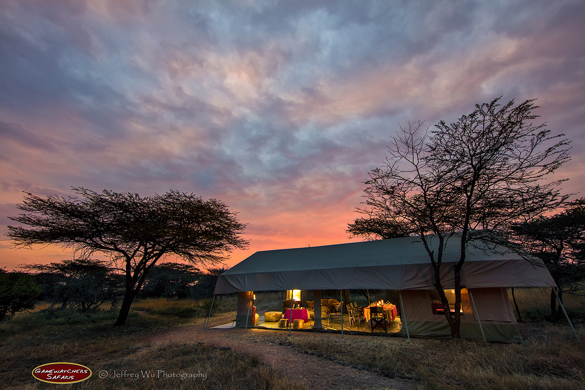 Porini Bush Camp