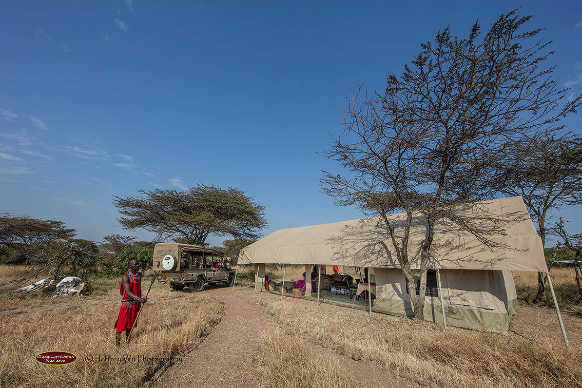 Porini Bush Camp thumbnail 6