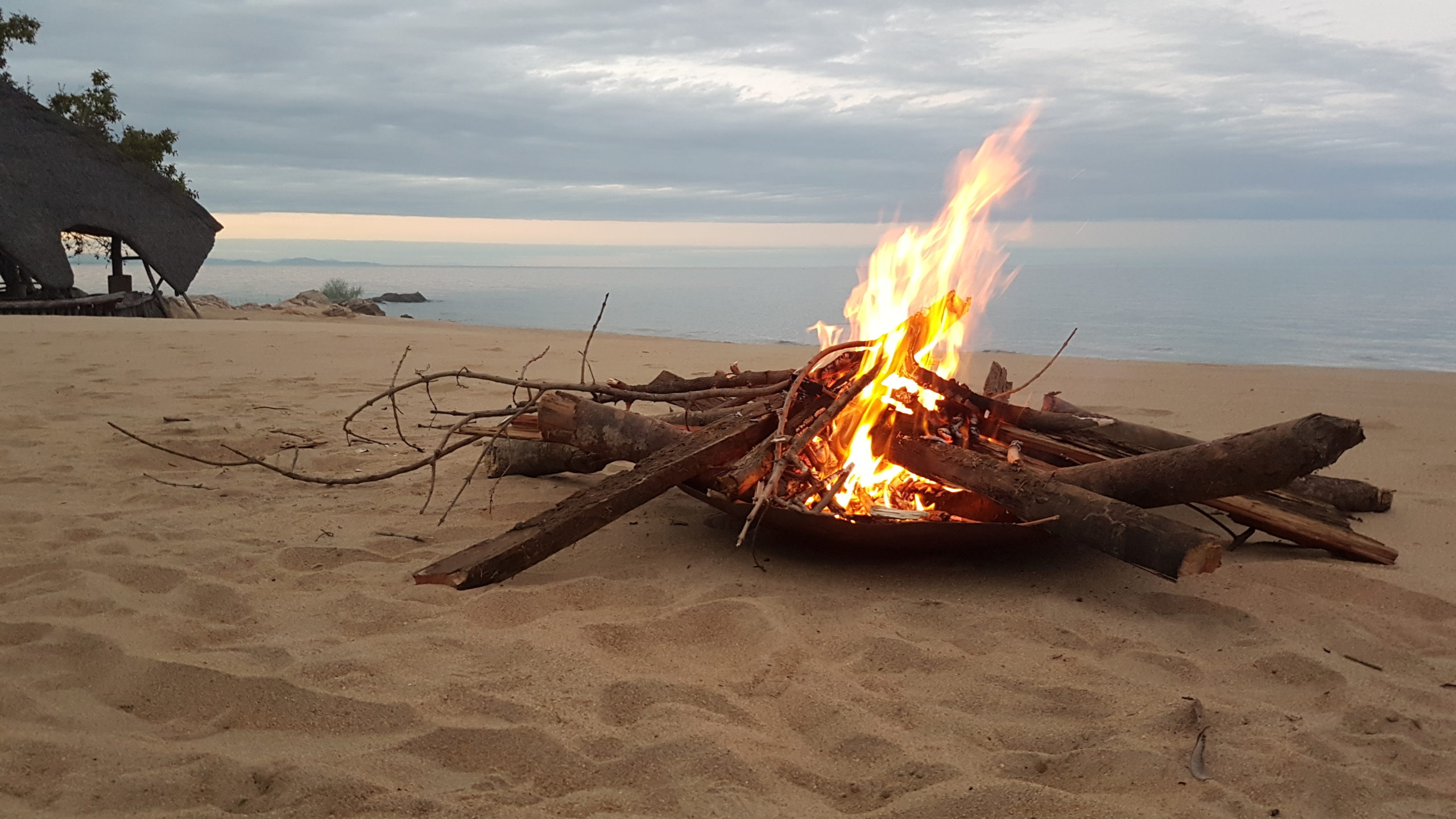 Ngala Beach Lodge thumbnail 6