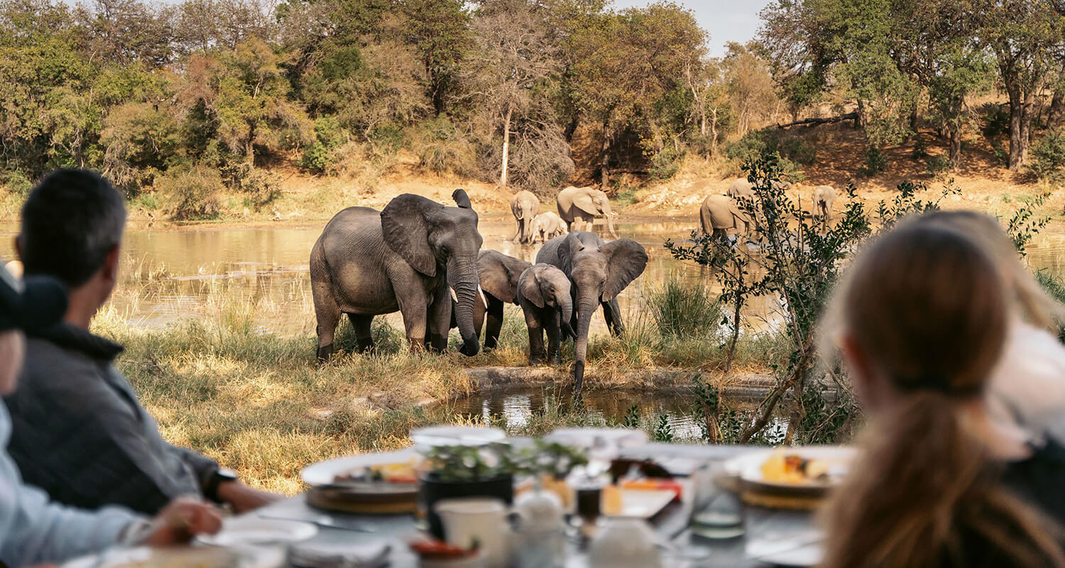 Simbavati River Lodge thumbnail 3