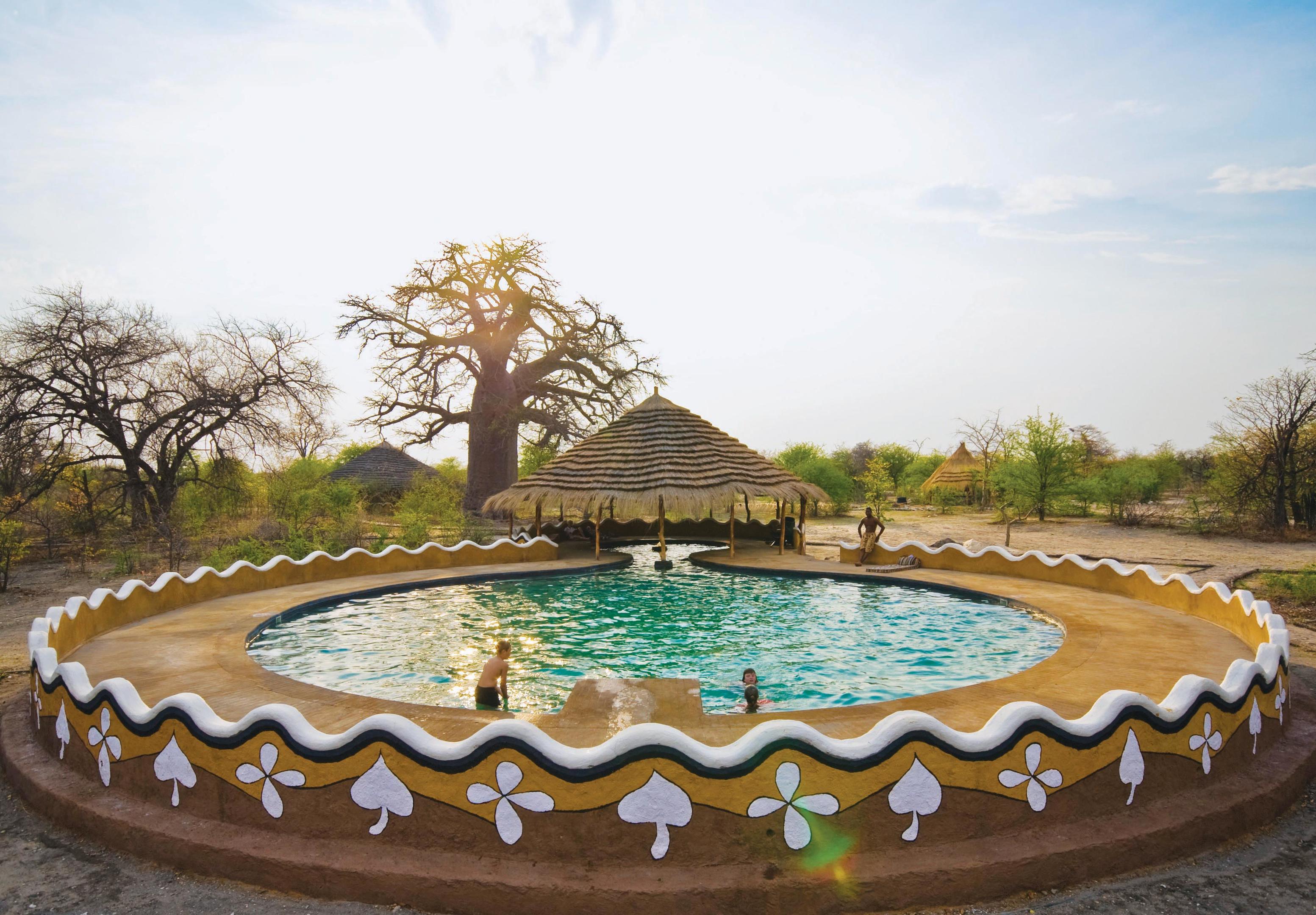 Planet Baobab