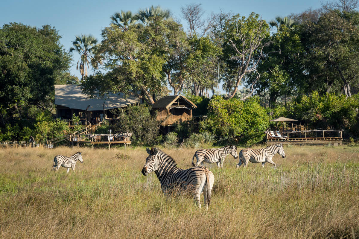 Little Tubu Camp