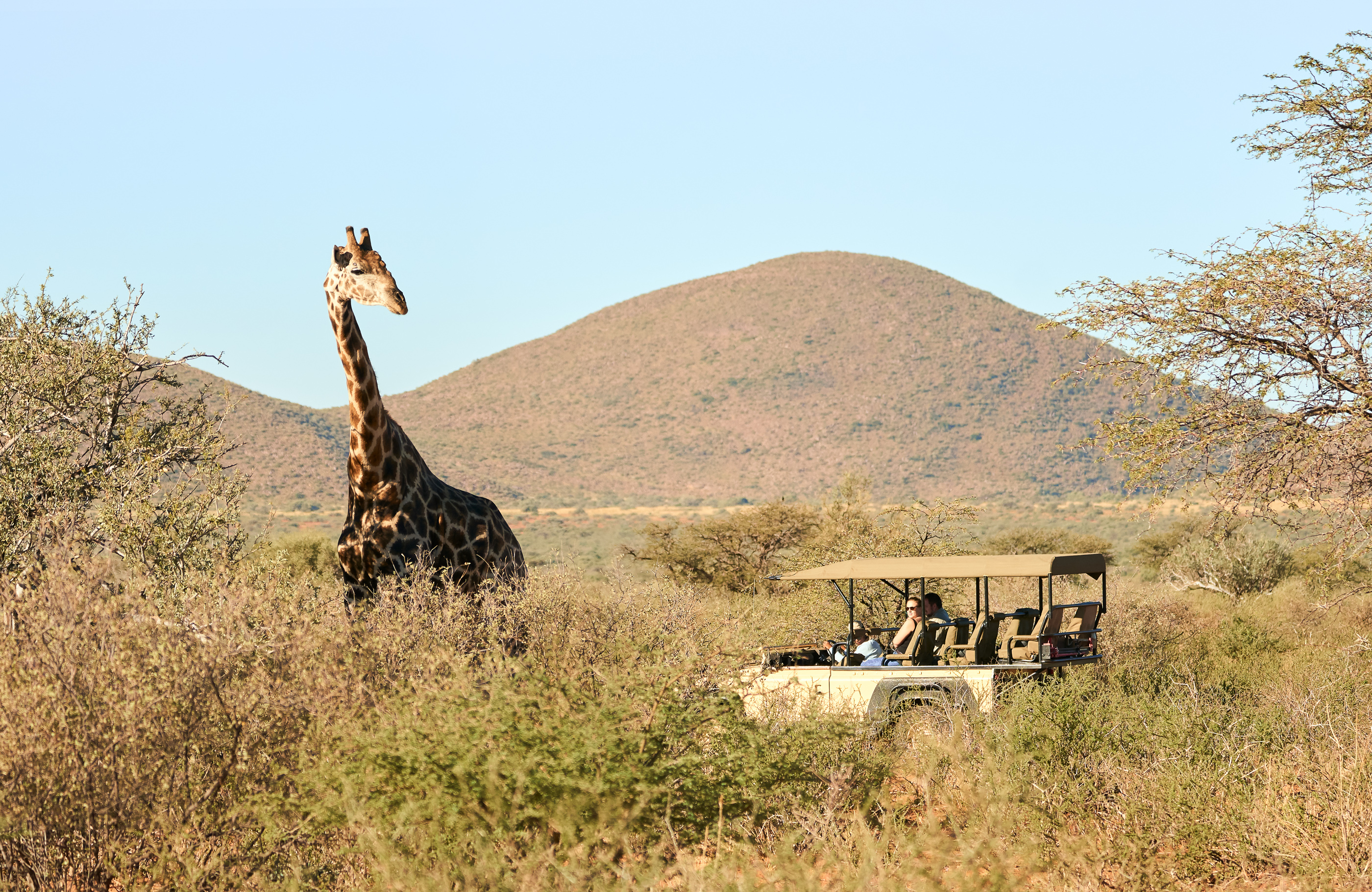 Tswalu The Motse thumbnail 13